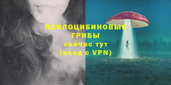 ГАЛЛЮЦИНОГЕННЫЕ ГРИБЫ Алексин