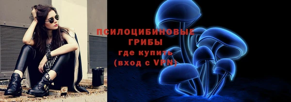 соль ск Алзамай