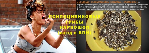 ГАЛЛЮЦИНОГЕННЫЕ ГРИБЫ Алексин
