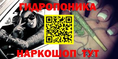 индика Бузулук