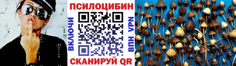 Галлюциногенные грибы ЛСД  сколько стоит  Большой Камень 